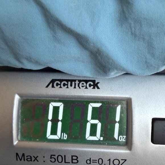 Y2K Patagonia Shorts Mens XXL Blue Baggies Beach Surf Swin Summer Vacation - Picture 8 of 8